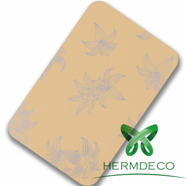 Factory wholesale Stainless Steel Laser Cutting -
 Pattern Yellow Sus304 Laminated Steel Sheet-HM-010 – Hermes Steel