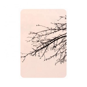 Gold Mirror Decorative PVC Coating Stainless Steel Sheet Price Marine Grade 316L