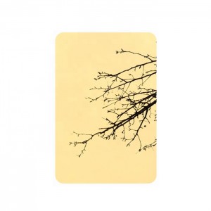 Gold Mirror Decorative PVC Coating Stainless Steel Sheet Price Marine Grade 316L