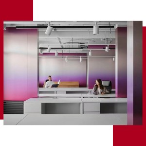 201 304 Decorative Stainless steel paint sheet PVDF lridescent Color Painted Stainless steel sheet