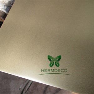 Best Price on Cold Rolled 304 Stainless Steel Sheet -
 China Supplier Wall Decorative Stainless Steel Plate-HM-SB002 – Hermes Steel